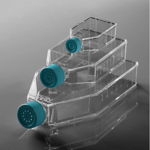 T175 cell culture flasks for adherent cells China